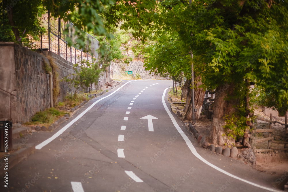 Fototapeta premium road in the woods