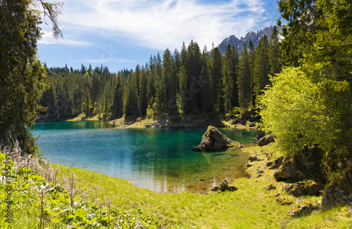 The clear, emerald-turquoise waters of Lake Carezza, framed by a dense pine forest and lush green shoreline, with distant mountains under a bright blue sky.