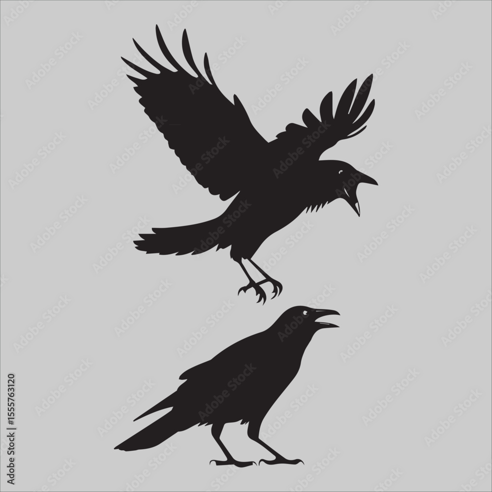 Fototapeta premium Crow Flock Argument