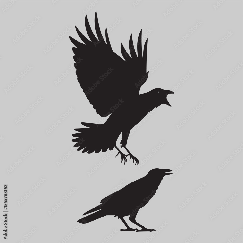 Obraz premium Crow Flock Argument