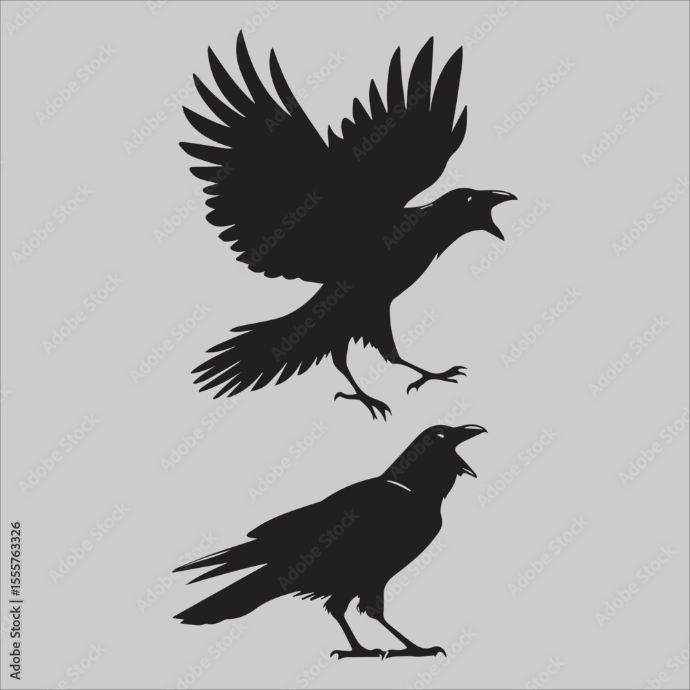 Fototapeta premium Crow Flock Argument