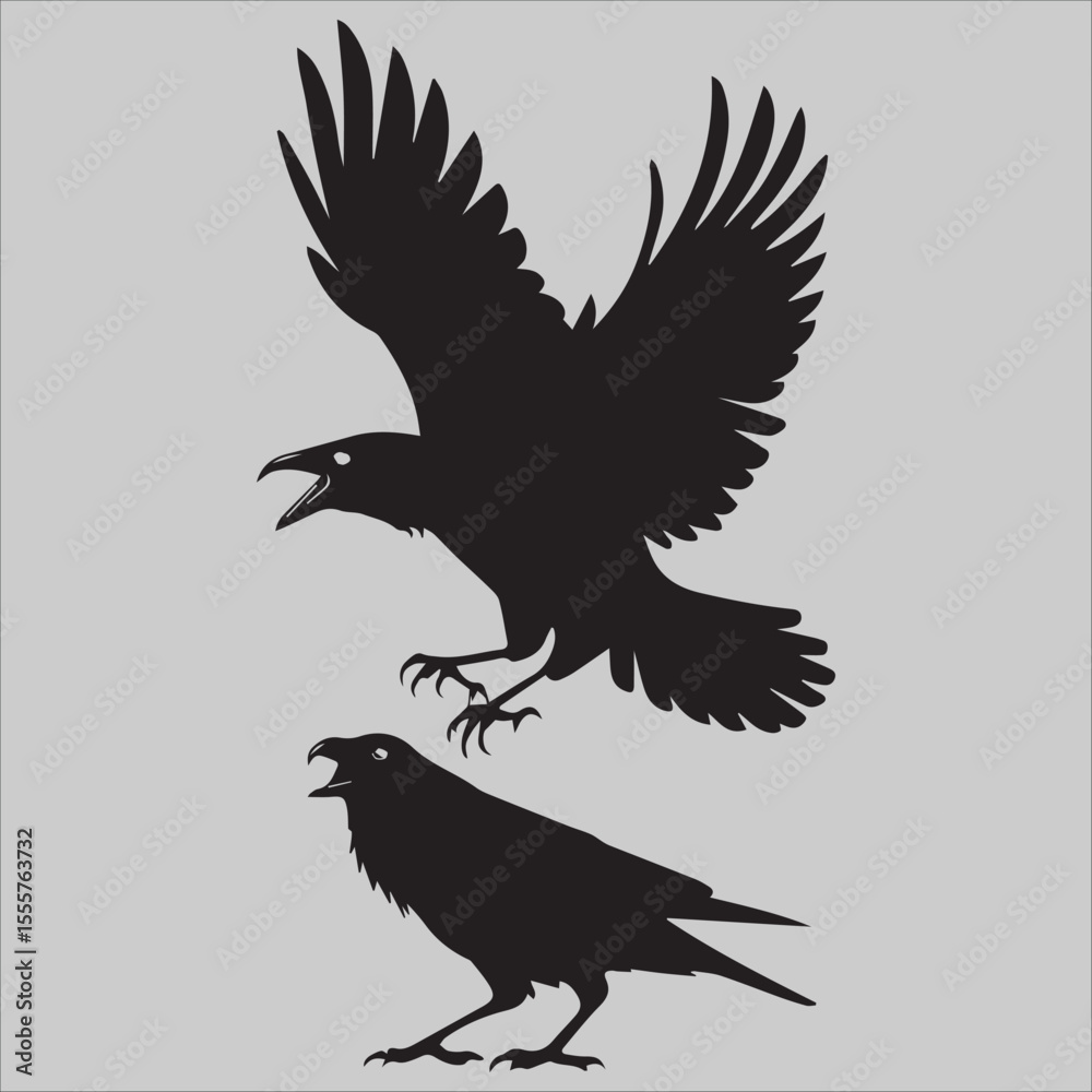 Obraz premium Flying Crow Attacks