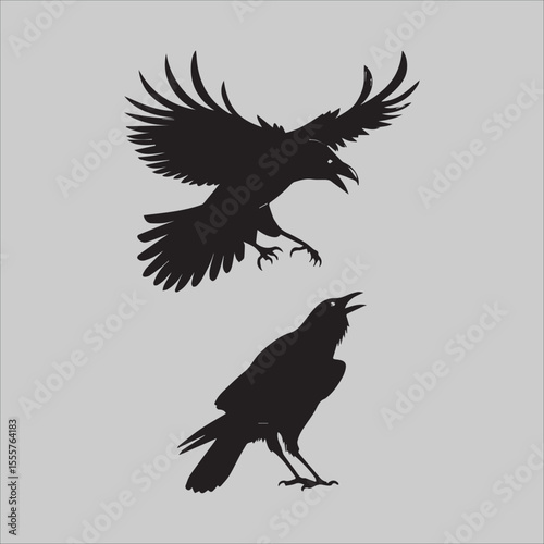 WebFlying Crow Attacks 