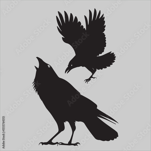 three crows arguing