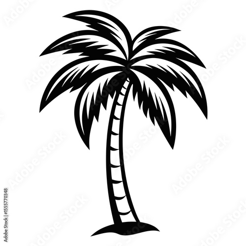 palm tree silhouette