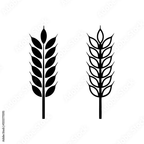 Two wheat stalks, isolated on white background