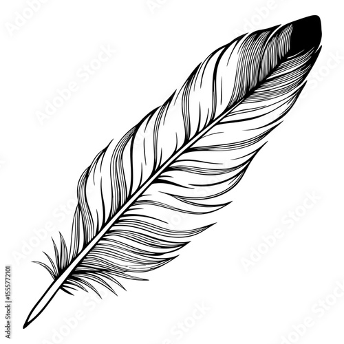 Detailed black and white feather drawing isolated on white background