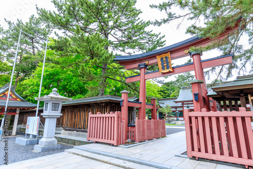 初夏の氣比神宮　福井県敦賀市　Kehi Shrine in early summer. Fukui Pref, Tsuruga City. photo