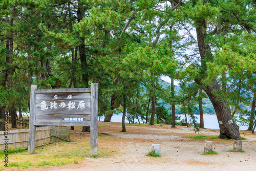 初夏の気比の松原　福井県敦賀市　Kehi Pine Grove in early summer. Fukui Pref, Tsuruga City. photo