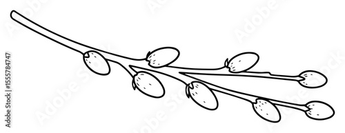 willow branch outline vector icon for palm sunday or spring