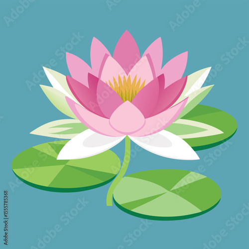 pink water lily