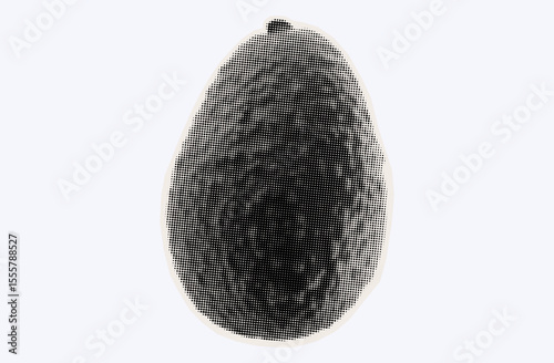 One raw avocado, ripe exotic fruit in halftone modern art style. Cutout from magazine for collage design with grunge texture. Peruvian pear, raw avocado, healthy ingredient. Vector