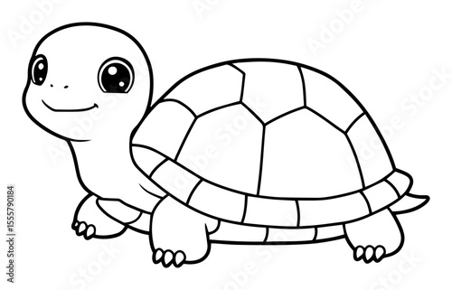 hand drawn turtle vector illustration