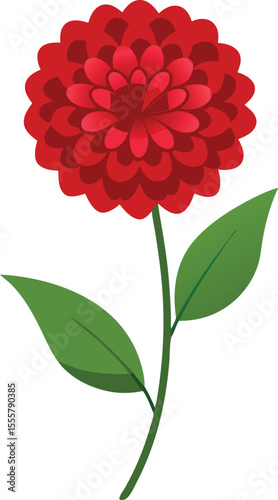 zinnia flower