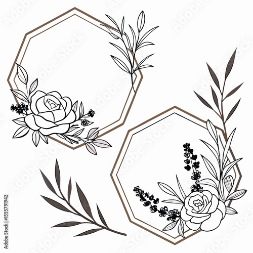 Collection of hexagon, rhombus, and circular frames blended with floral line illustrations