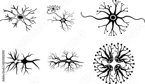 Neuron Vector Icon | Black and White Nerve Cell Illustration on Blank Background