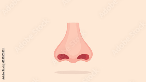 nose

