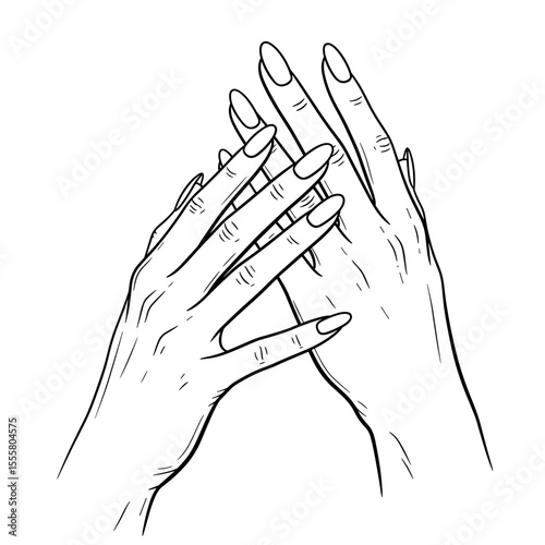 Two hands with elegant nail art in a stylish position in minimalist line art style with copy space