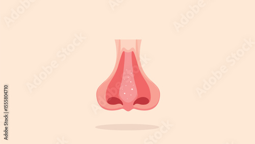 nose
