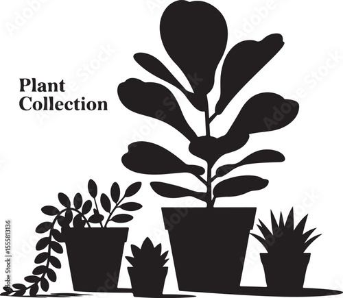 indoor plant collection silhouette with various potted houseplants in black and white minimalist style vector art