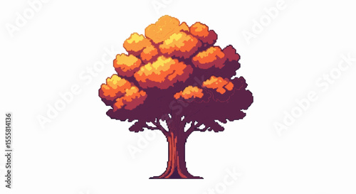 tree in autumn