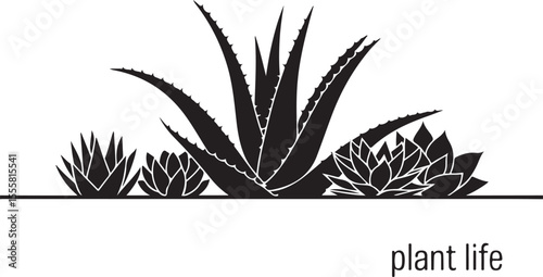 Silhouette of aloe and succulent plants in minimal black vector style with text 'plant life' for botanical design and eco branding