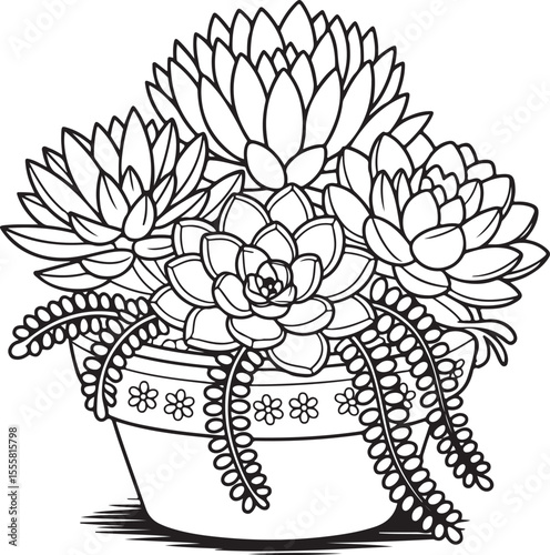  Decorative potted succulent arrangement with cascading strings and floral patterned pot, hand-drawn black and white botanical line art