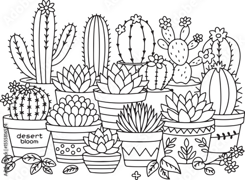 Decorative cactus and succulent plant collection in patterned pots with desert blooms label, black and white line art for botanical and indoor garden themes