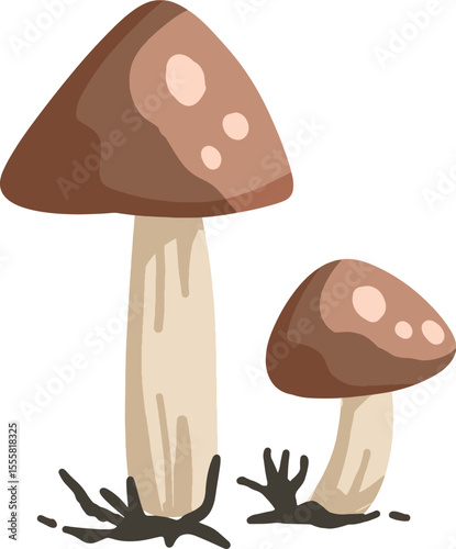 vector illustration of mushroom