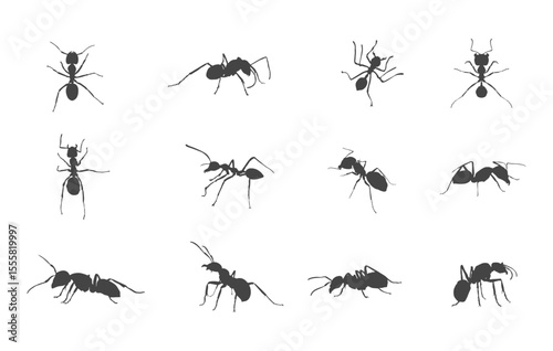 Ants svg, Ants silhouette, Ant clipart, Ant silhouette set, Ants vector set, Ant crawling silhouette, Ant drawing. 