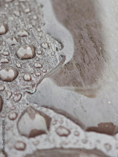 Macro Water Droplets on Weathered Wooden Surface