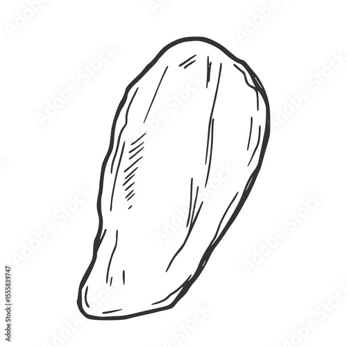 Pistachio nuts set. Isolated sketch of peeled pistachio nut