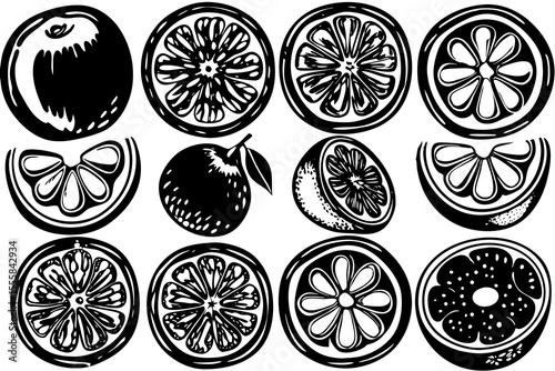 Black and white citrus fruit illustrations