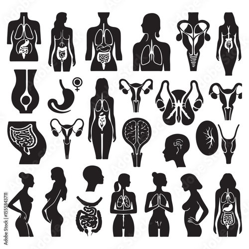 Human Anatomy Organ Systems Silhouette Collection