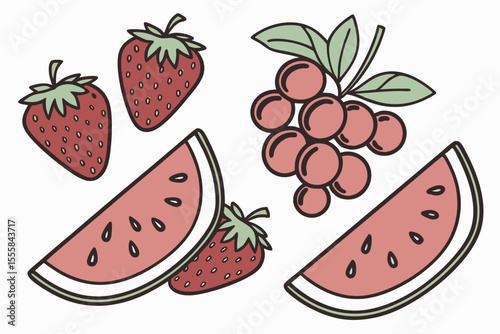 Summer fruits illustration strawberries watermelon and cranberries