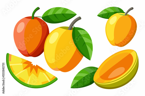 Vibrant illustration of ripe apricots and mango slices