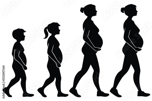 Stages of Pregnancy Silhouette