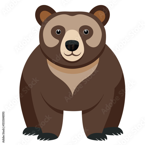 bear vector image on white background