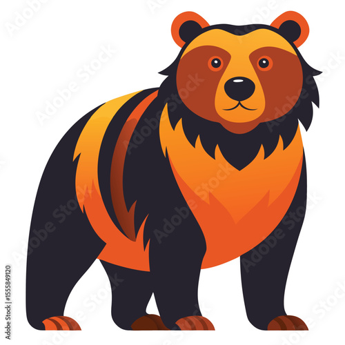 bear vector image on white background