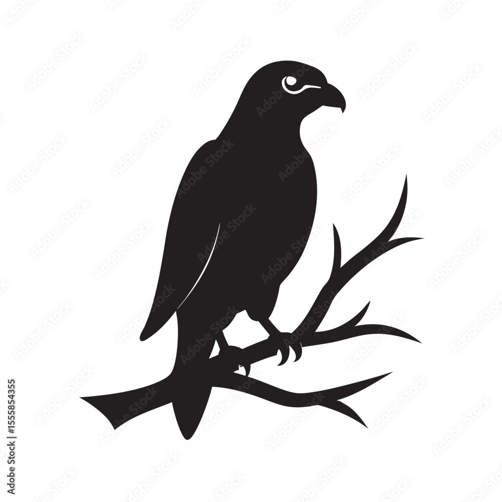 Fototapeta premium Hawk Perched On Branch Silhouette