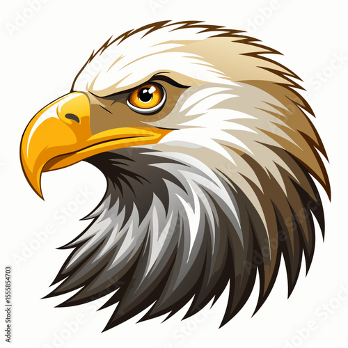 American bald eagle with white background