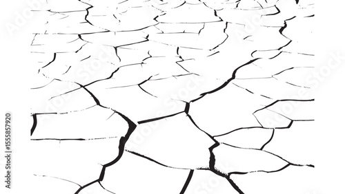 Dry Land Cracks Close-Up