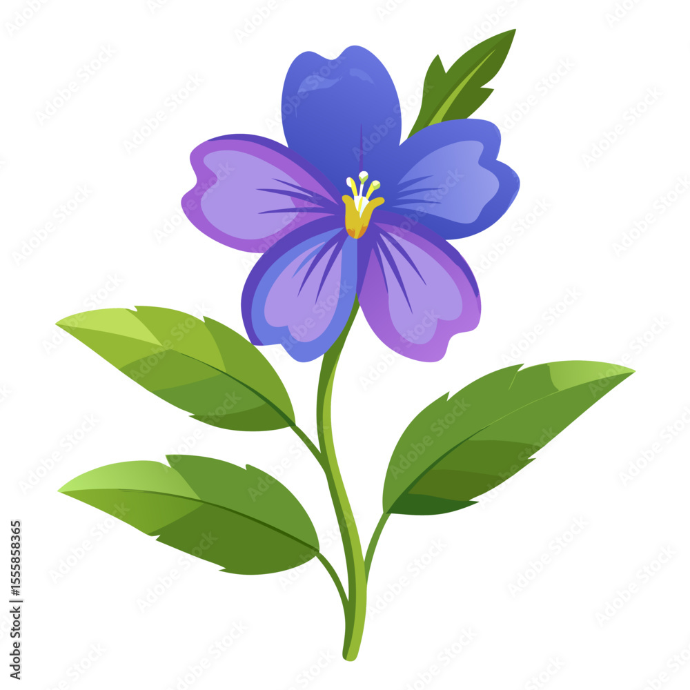 Fototapeta premium white background on flower Periwinkle