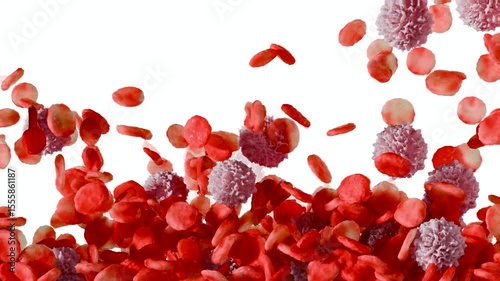 Flowing red blood cells in vein, erythrocyte, flow inside in an artery, anatomy medical, 3d render