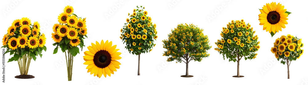 Obraz premium sunflower tree isolated background