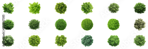 Top View Green Foliage And Shrubs Set. Urban Landscape And Garden Architecture Element Collection. Sustainable Design Resource. Isolated Vector Illustration