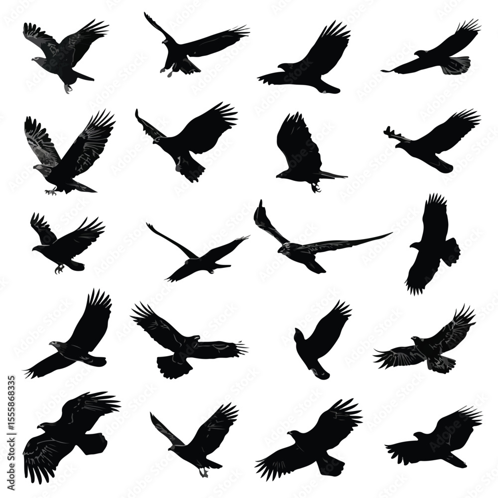 Obraz premium vector illustration of an eagle