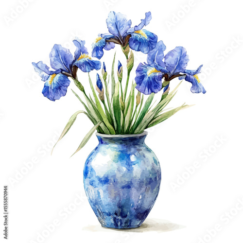 A Siberian Iris In A Vase, watercolor painting vector, isolated on a white background.