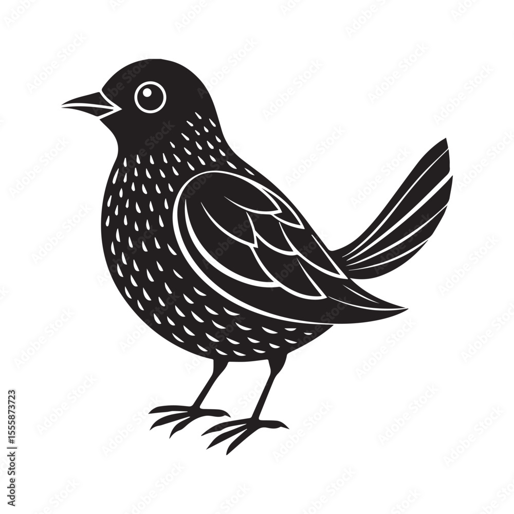 Fototapeta premium Common blackbird vector art illustration