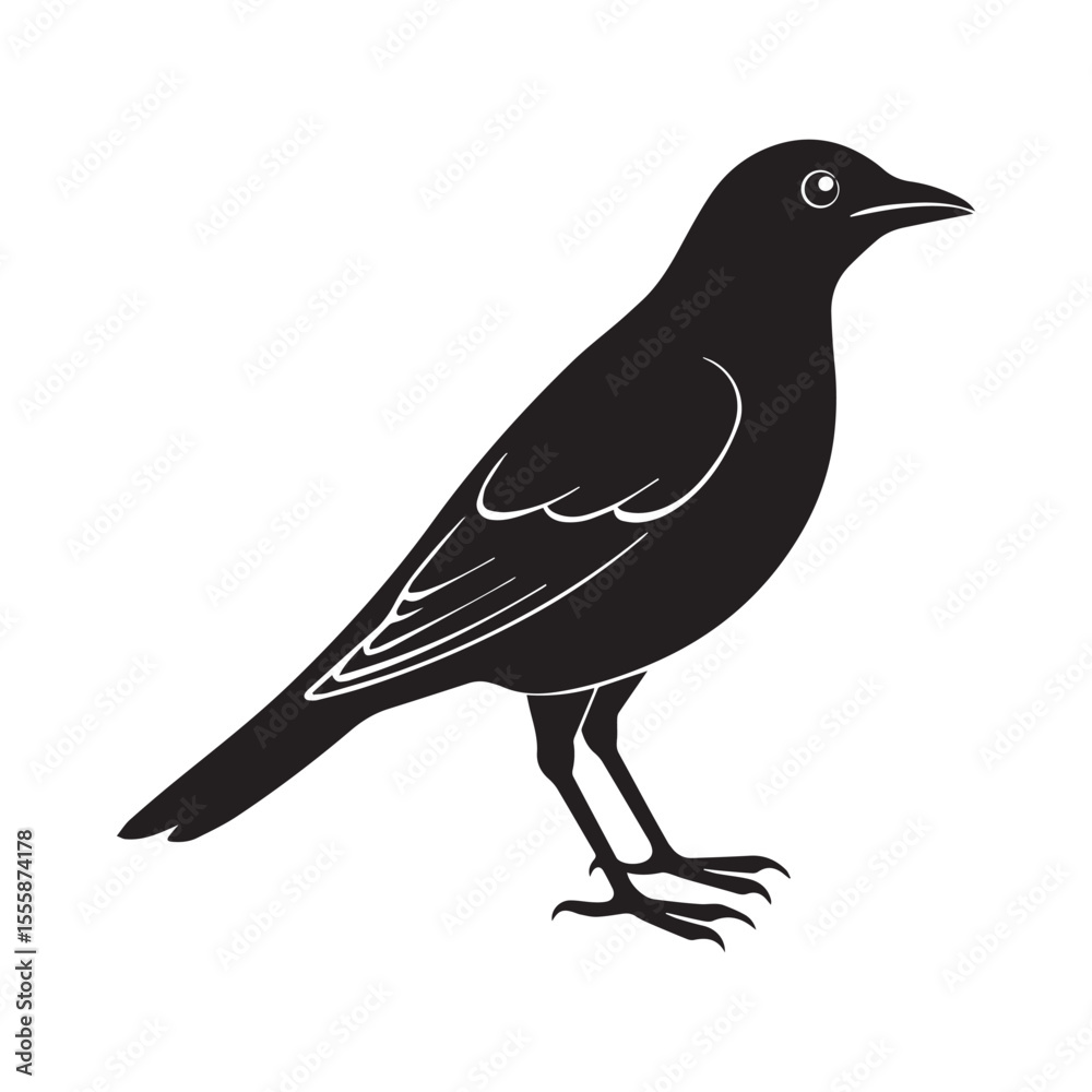 Obraz premium Common blackbird vector art illustration
